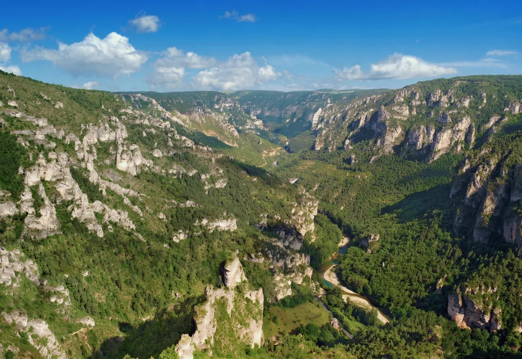 Panorama sur les Gorges du Tarn et leurs falaises calcaires